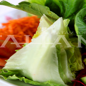 Göbek Salata
